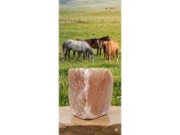 Excellent Horse Himalaya Salzleckstein 2-3 kg mit Seil