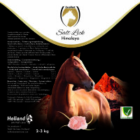 Excellent Horse Salt Lick Himalaya ca. 2-3 kg (Mit Seil)