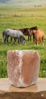 Excellent Horse Salt Lick Himalaya ca. 2-3 kg (Mit Seil)