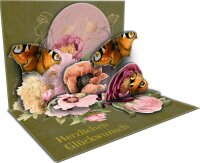 Pop Up Grußkarte Schmetterlinge Blütenzauber Bastin Karte edel