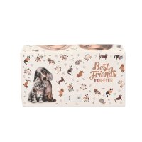 TOPModel Schmuckkästchen mit Code & Sound FUR-EVER-FRIENDS – Anti-Hero