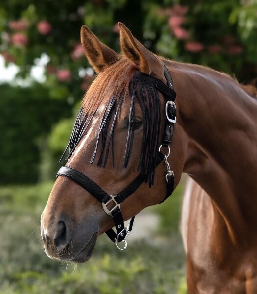 FLIEGENFRANSEN SALON, schwarz, Pony