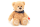 Teddy beige 30 cm