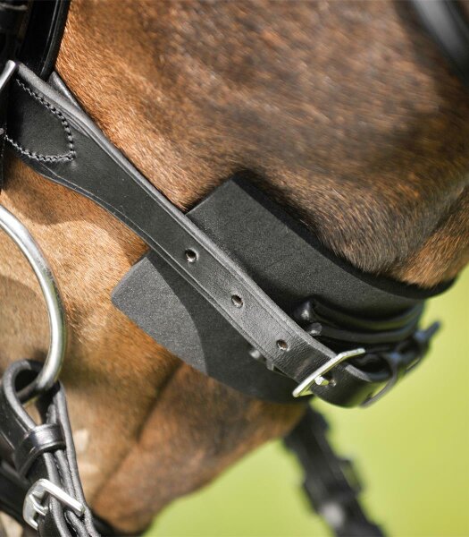 Waldhausen Trensenzaum Unterlegpolster Schwarz