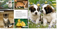 Meine liebsten Tierbabys