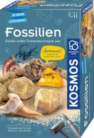 Fossilien Ausgrabungs-Set