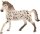 schleich® Horse Club 13889 Knabstrupper Hengst